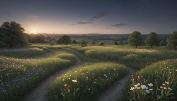 flower,outdoors,sky,cloud,tree,no humans,grass,white flower,star (sky),nature,scenery,forest,sunset,mountain,sun,road,field,evening,landscape,path,hill,water,night,plant,starry sky,blue flower,bush,river,twilight,gradient sky