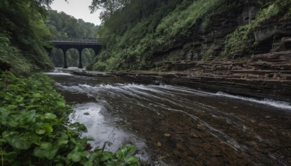 outdoors,day,water,tree,no humans,bird,leaf,grass,plant,nature,scenery,forest,rock,ruins,bridge,river,waterfall,moss,overgrown,stream,sky,signature,rain,landscape