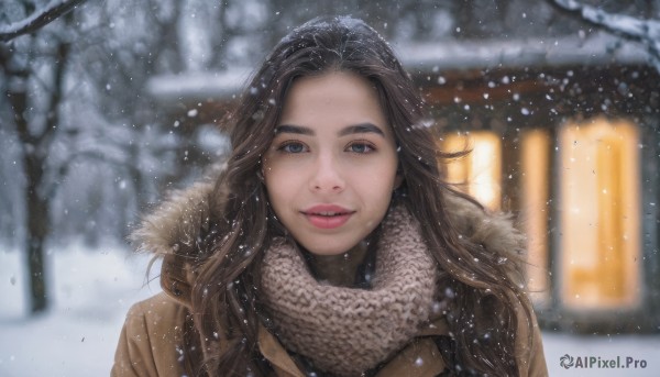 1girl,solo,long hair,looking at viewer,smile,blue eyes,brown hair,black hair,upper body,outdoors,parted lips,scarf,blurry,tree,lips,coat,fur trim,depth of field,blurry background,portrait,snow,snowing,realistic,nose,winter clothes,winter,brown coat,teeth,mole,thick eyebrows,lantern,bare tree,brown scarf