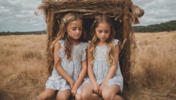 long hair,multiple girls,blonde hair,brown hair,hair ornament,dress,2girls,twintails,sitting,closed mouth,closed eyes,flower,outdoors,sky,sleeveless,day,cloud,hair flower,white dress,blurry,lips,sleeveless dress,siblings,wavy hair,sleeping,cloudy sky,grass,sisters,twins,realistic,field,side-by-side,tree,holding hands,child,between legs,hand between legs,fine art parody