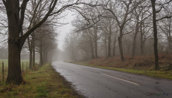 outdoors,sky,day,tree,no humans,sunlight,grass,nature,scenery,forest,road,bush,bare tree,landscape,fog,path,cloud,cloudy sky,fence,field