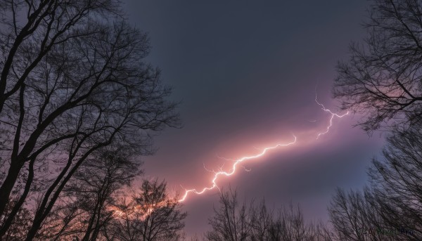 Outdoors brought to life with a serene lightning