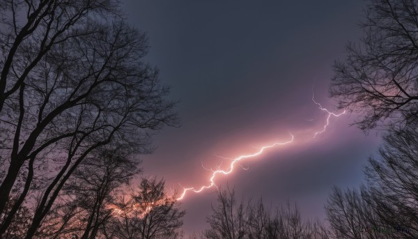 outdoors,sky,cloud,tree,no humans,night,cloudy sky,nature,scenery,forest,electricity,bare tree,lightning,purple sky,dark,landscape