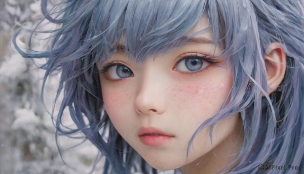 1girl,solo,looking at viewer,short hair,bangs,blue eyes,blue hair,grey hair,parted lips,teeth,blurry,lips,grey eyes,eyelashes,depth of field,blurry background,portrait,snow,close-up,freckles,realistic,nose,long hair,blush