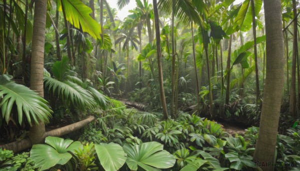 outdoors,day,tree,no humans,leaf,sunlight,plant,nature,scenery,forest,palm tree,green theme,traditional media,grass,bush