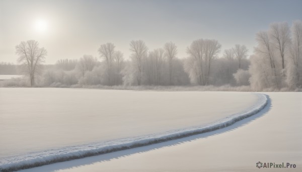 A landscape framed by the beauty of a calm snowy day