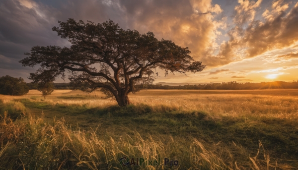 outdoors,sky,cloud,tree,blue sky,no humans,sunlight,cloudy sky,grass,nature,scenery,sunset,mountain,sun,road,field,landscape,hill,plant