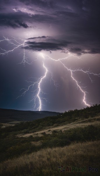 outdoors,sky,cloud,tree,no humans,ocean,cloudy sky,grass,nature,scenery,horizon,electricity,field,lightning,landscape,night,dark,path