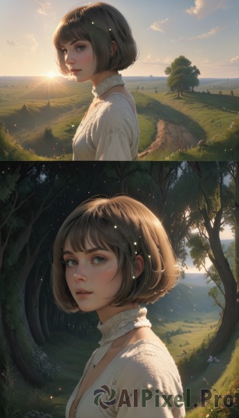 1girl,solo,breasts,looking at viewer,short hair,bangs,blue eyes,brown hair,shirt,black hair,dress,cleavage,brown eyes,white shirt,upper body,small breasts,outdoors,parted lips,sky,day,cloud,water,from side,tree,lips,eyelashes,sunlight,bob cut,grass,nature,scenery,forest,backlighting,sunset,mountain,nose,sun,blush,long sleeves,jewelry,closed mouth,flower,earrings,teeth,blunt bangs,blue sky,looking to the side,multiple views,turtleneck,cloudy sky,bug,plant,butterfly,light particles,lens flare,freckles,light rays,pink lips,realistic,horizon,landscape,hill