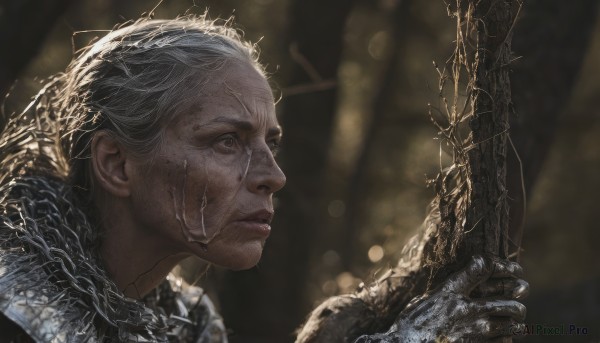 1girl,solo,short hair,gloves,holding,closed mouth,weapon,white hair,grey hair,sword,scarf,holding weapon,armor,blurry,from side,lips,grey eyes,profile,depth of field,blurry background,scar,holding sword,portrait,realistic,1boy,male focus,scar on face,branch,old,cracked skin,wrinkled skin