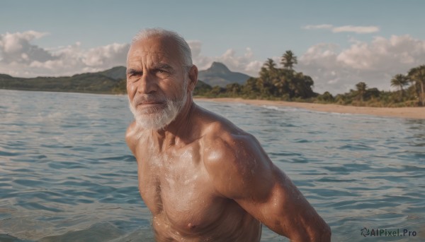 solo,looking at viewer,1boy,nipples,upper body,white hair,male focus,nude,outdoors,sky,day,cloud,water,tree,blue sky,wet,muscular,facial hair,ocean,scar,beach,abs,cloudy sky,pectorals,muscular male,bara,beard,topless male,mountain,mature male,realistic,mustache,sand,palm tree,bald,manly,old,chest hair,old man,arm hair,wrinkled skin,short hair,grey hair,scar on face,large pectorals