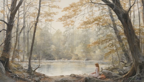 1girl,solo,long hair,brown hair,dress,bare shoulders,sitting,outdoors,barefoot,day,water,white dress,tree,leaf,sunlight,nature,scenery,forest,reflection,rock,onsen,autumn leaves,maple leaf,bare tree,river,autumn,stream,blonde hair,closed eyes,sleeveless,from side,profile