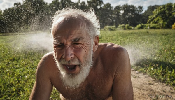 solo,open mouth,1boy,closed eyes,upper body,flower,white hair,male focus,nude,outdoors,day,tongue,blurry,tree,blurry background,facial hair,scar,facing viewer,beard,scar on face,topless male,realistic,mustache,field,old,chest hair,old man,photo background,wrinkled skin,looking at viewer,smile,sky,parody,grass,all fours,scar across eye