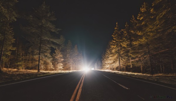 outdoors,sky,tree,dutch angle,no humans,night,sunlight,grass,nature,night sky,scenery,lens flare,forest,light rays,light,road,dark,power lines,vanishing point,cloud,star (sky),sunset,fence,bush,street,chain-link fence,utility pole