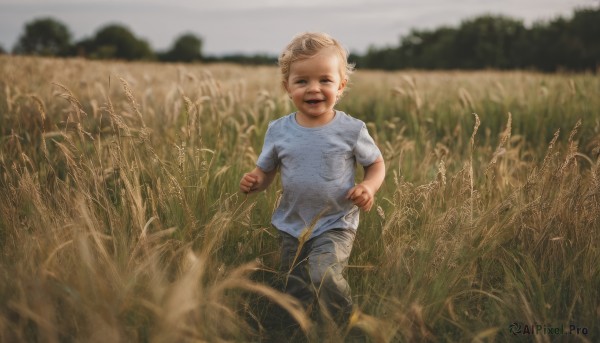 solo,looking at viewer,smile,short hair,open mouth,blue eyes,blonde hair,shirt,1boy,standing,white shirt,short sleeves,male focus,outdoors,teeth,day,pants,blurry,depth of field,blurry background,grass,blue shirt,t-shirt,child,realistic,male child,grey pants,field,:d,sky,denim,jeans,dirty