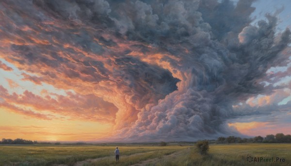 A male in a picturesque sunset outdoors