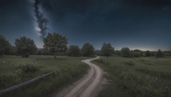 outdoors,sky,cloud,tree,no humans,night,grass,star (sky),nature,night sky,scenery,forest,smoke,starry sky,road,bush,path,field