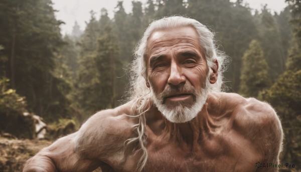 solo,long hair,1boy,closed mouth,collarbone,closed eyes,upper body,white hair,male focus,outdoors,day,blurry,tree,muscular,blurry background,facial hair,scar,muscular male,nature,facing viewer,beard,forest,topless male,mature male,realistic,mustache,manly,old,chest hair,old man,photo background,arm hair,wrinkled skin,looking at viewer,smile,depth of field,sunlight,thick eyebrows,scar on face