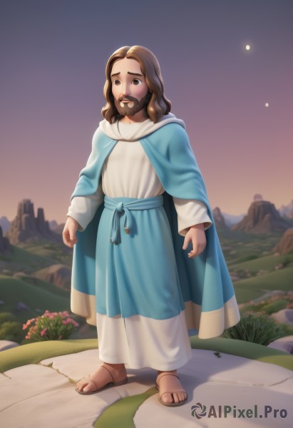 solo,brown hair,long sleeves,1boy,brown eyes,standing,full body,flower,male focus,outdoors,sky,hood,medium hair,cape,night,facial hair,sandals,hood down,grass,aged down,child,star (sky),cloak,beard,robe,mustache,arms at sides,male child,1girl,dress,toes,moon,rock