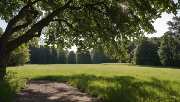 The wonder of a landscape in a peaceful day