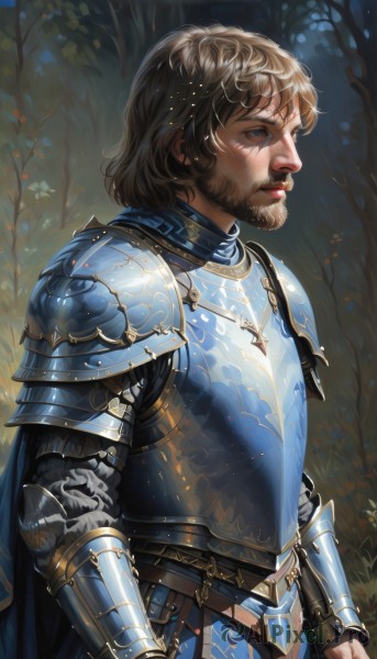 solo,short hair,blue eyes,brown hair,1boy,standing,upper body,weapon,male focus,outdoors,parted lips,belt,sword,artist name,signature,cape,armor,from side,tree,lips,looking to the side,profile,facial hair,scar,shoulder armor,gauntlets,nature,beard,scar on face,forest,pauldrons,breastplate,realistic,nose,mustache,vambraces,looking afar,blue cape,knight,chainmail,plate armor,brown eyes,closed mouth