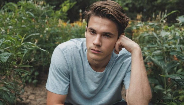 solo,looking at viewer,short hair,brown hair,shirt,1boy,brown eyes,closed mouth,white shirt,upper body,short sleeves,male focus,outdoors,day,signature,blurry,looking to the side,blurry background,leaf,plant,t-shirt,grey shirt,hand on own face,freckles,head rest,realistic,photo background,elbow rest,hand up,lips,facial hair,blue shirt