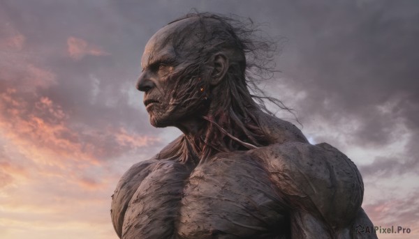 solo,1boy,upper body,male focus,outdoors,sky,cloud,muscular,cloudy sky,veins,monster,realistic,bald,alien,closed mouth,from side,profile,portrait