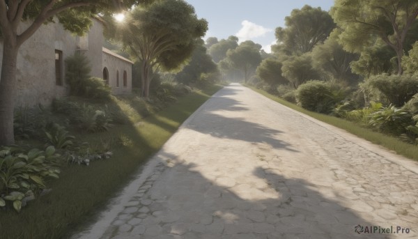 A street captured in a dynamic day