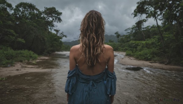 1girl,solo,long hair,brown hair,dress,bare shoulders,outdoors,sky,day,cloud,dark skin,water,off shoulder,from behind,dark-skinned female,tree,wet,blue dress,back,wavy hair,cloudy sky,undressing,wet clothes,nature,scenery,forest,rain,facing away,wet hair,river,lake,grey sky,blonde hair,upper body,ocean,grass,curly hair,road,bush