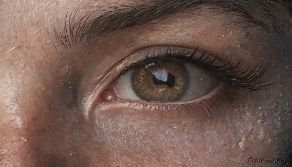 1girl,solo,looking at viewer,black hair,1boy,brown eyes,yellow eyes,male focus,eyelashes,close-up,reflection,water drop,realistic,eye focus,green eyes