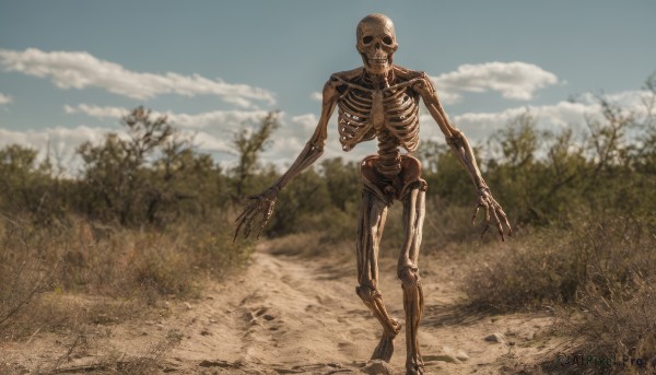 solo,looking at viewer,standing,full body,outdoors,sky,day,cloud,blurry,tree,blue sky,no humans,nature,claws,1other,realistic,ribs,skeleton,bone,horror (theme),cloudy sky,grass,monster,extra arms