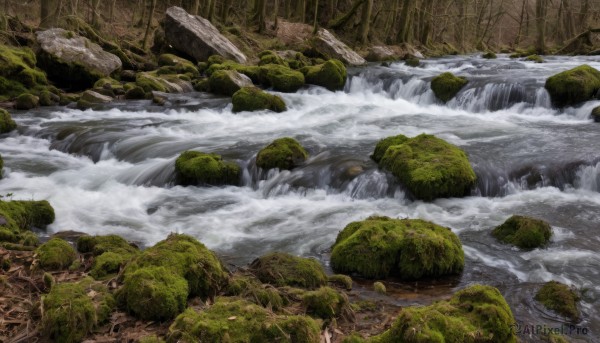 outdoors,water,tree,no humans,nature,scenery,forest,rock,mountain,river,waterfall,landscape,day,grass,cliff,moss,stream