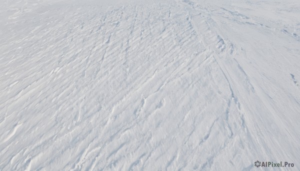 The serene presence of a female in a lush snowy outdoors