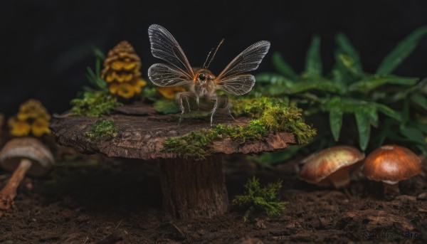 A stunning unique subject within a beautiful outdoors