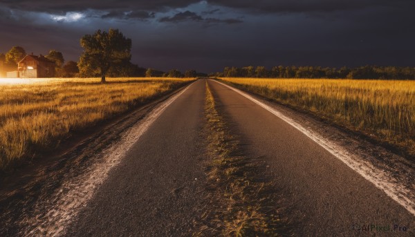 outdoors,sky,cloud,tree,no humans,night,cloudy sky,grass,star (sky),nature,night sky,scenery,forest,sunset,road,dark,field,landscape,path,hill,building,starry sky,fence,house,lamppost,evening