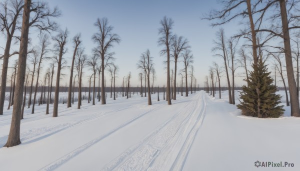 outdoors,sky,day,tree,blue sky,no humans,nature,scenery,snow,forest,road,winter,bare tree,path,pine tree,landscape