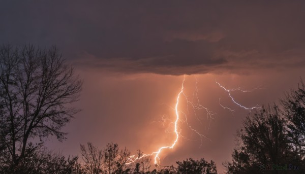 outdoors,sky,cloud,tree,no humans,cloudy sky,nature,scenery,forest,electricity,bare tree,lightning,grass,plant,sunset,landscape