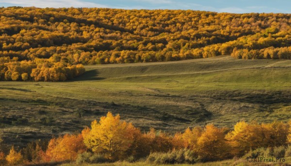 outdoors,sky,day,cloud,water,tree,blue sky,no humans,traditional media,grass,nature,scenery,forest,field,river,landscape,lake,autumn leaves,autumn