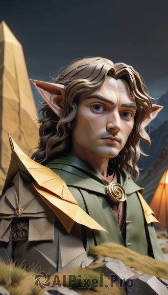 solo,long hair,looking at viewer,bangs,blue eyes,brown hair,1boy,closed mouth,upper body,male focus,outdoors,pointy ears,artist name,medium hair,cape,armor,blurry,blurry background,facial hair,animal,wavy hair,grass,parted lips,lips,scar,cat,thick eyebrows,elf,beard,wide-eyed,realistic