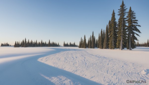 outdoors,sky,day,tree,blue sky,no humans,nature,scenery,snow,forest,mountain,winter,bare tree,landscape,gradient sky,pine tree,footprints