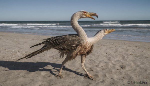 solo,red eyes,outdoors,sky,day,water,pokemon (creature),no humans,shadow,bird,ocean,animal,beach,realistic,sand,animal focus,talons,beak,open mouth,standing,full body,wings,blurry,blue sky,scenery,horizon,shore