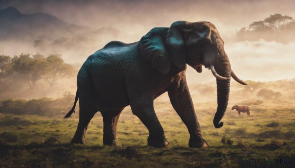 standing,outdoors,horns,sky,cloud,tree,no humans,animal,cloudy sky,grass,nature,scenery,forest,dog,mountain,realistic,sheep,goat,solo,cow,elephant