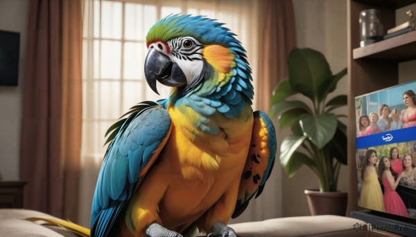 A striking sunlight featuring the elegance of a male