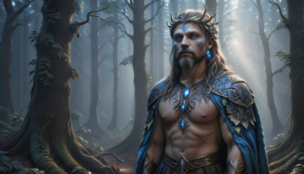 solo,long hair,blue eyes,black hair,1boy,navel,jewelry,nipples,upper body,grey hair,male focus,earrings,outdoors,pointy ears,necklace,stomach,cape,armor,tree,muscular,glowing,facial hair,facial mark,piercing,abs,sunlight,thick eyebrows,pectorals,muscular male,shoulder armor,gem,nature,bara,glowing eyes,beard,forest,large pectorals,topless male,mature male,arms at sides,bare pectorals,blue cape,biceps,looking at viewer,brown hair,crown,realistic,goatee