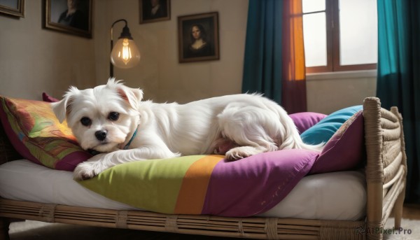 The majestic beauty of a dog set within a ethereal day
