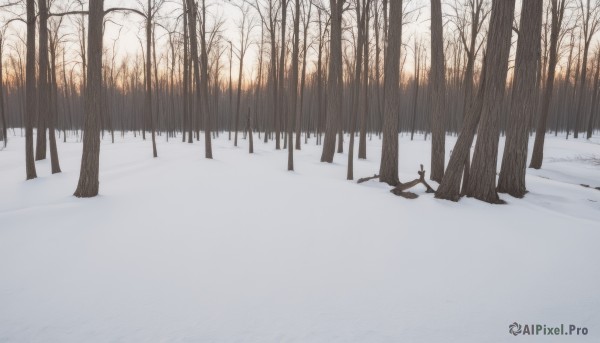 solo,outdoors,tree,no humans,nature,scenery,snow,forest,silhouette,winter,bare tree,footprints,monochrome,sunlight,landscape