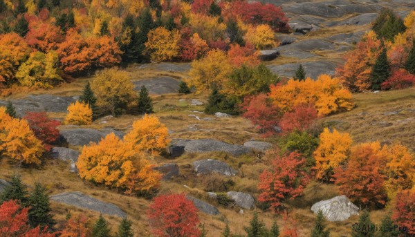 outdoors,day,tree,no humans,leaf,traditional media,grass,nature,scenery,forest,rock,road,bush,autumn leaves,maple leaf,river,autumn,path,stone,artist name