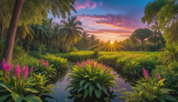 flower, outdoors, sky, cloud, water, tree, no humans, sunlight, cloudy sky, grass, plant, nature, scenery, reflection, sunset, sun