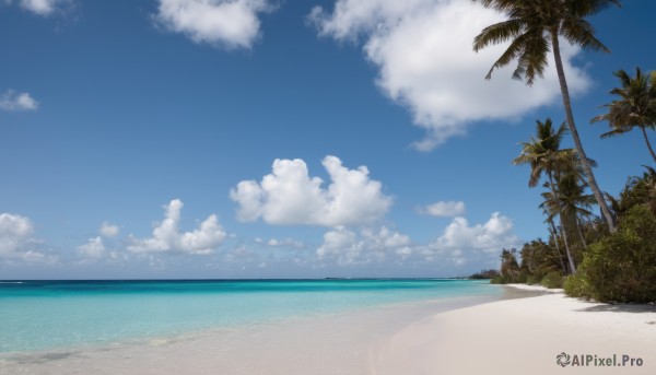 outdoors,sky,day,cloud,water,tree,blue sky,no humans,shadow,ocean,beach,cloudy sky,scenery,sand,palm tree,horizon,summer,shore,nature,island