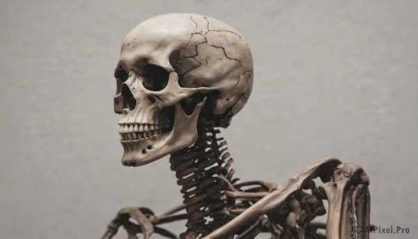 solo,simple background,teeth,grey background,blurry,from side,no humans,1other,skull,realistic,ribs,skeleton,bone,spine,upper body,robot